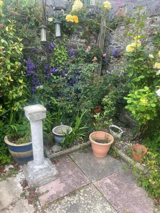 Ivybridge Cottage 외부 사진